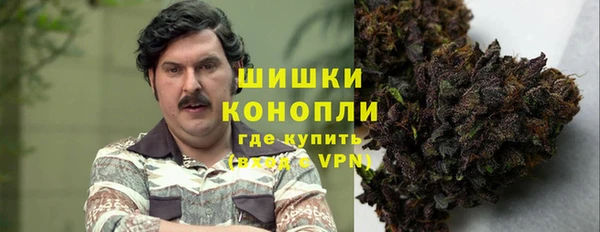 дживик Балахна