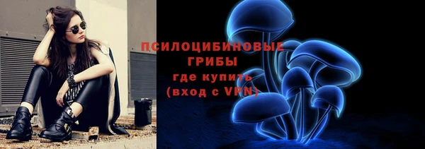 гидра Богородск