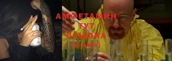 гидра Богородск