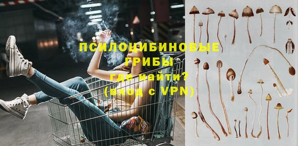 гидра Богородск