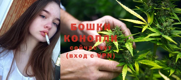стаф Богданович