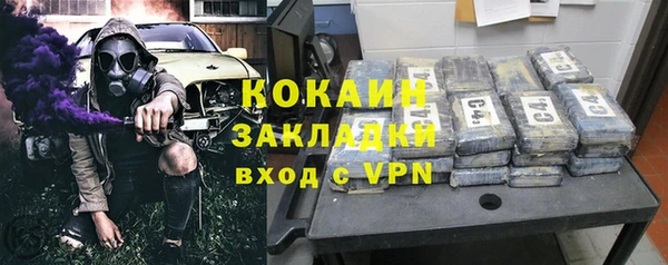 стаф Богданович