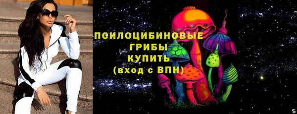 гидра Богородск