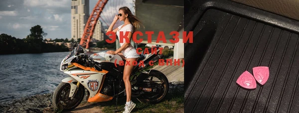 стаф Богданович