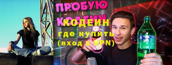 гидра Богородск
