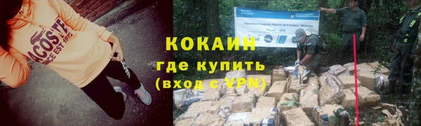 стаф Богданович